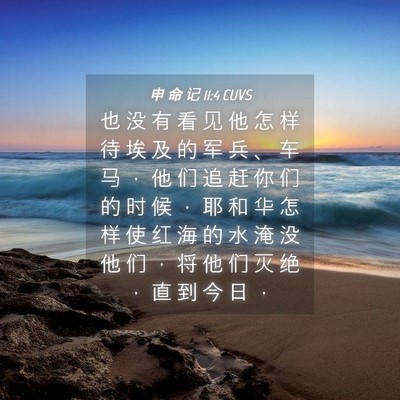 Picture 04 - 申 命 记 11:4 CUVS - 也 没 有 看 见 他 怎 样 待 埃 及 的 - Bible Verse Picture