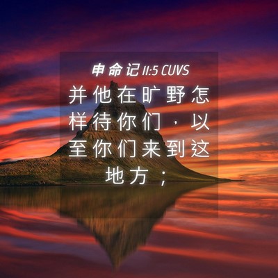 Picture 04 - 申 命 记 11:5 CUVS - 并 他 在 旷 野 怎 样 待 你 们 ， 以 - Bible Verse Picture