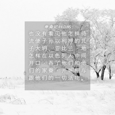 Picture 04 - 申 命 记 11:6 CUVS - 也 没 有 看 见 他 怎 样 待 流 便 子 - Bible Verse Picture