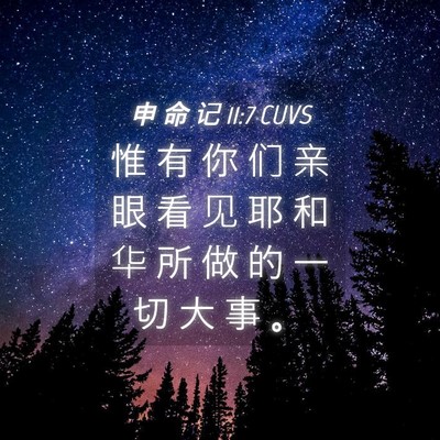 Picture 04 - 申 命 记 11:7 CUVS - 惟 有 你 们 亲 眼 看 见 耶 和 华 所 - Bible Verse Picture