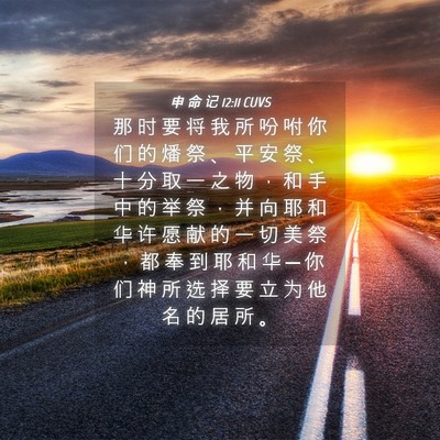 Picture 04 - 申 命 记 12:11 CUVS - 那 时 要 将 我 所 吩 咐 你 们 的 燔 - Bible Verse Picture