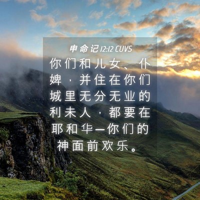 Picture 04 - 申 命 记 12:12 CUVS - 你 们 和 儿 女 、 仆 婢 ， 并 住 在 - Bible Verse Picture