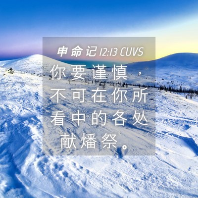 Picture 04 - 申 命 记 12:13 CUVS - 你 要 谨 慎 ， 不 可 在 你 所 看 中 - Bible Verse Picture