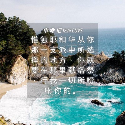Picture 04 - 申 命 记 12:14 CUVS - 惟 独 耶 和 华 从 你 那 一 支 派 中 - Bible Verse Picture