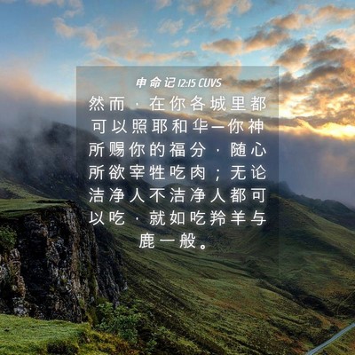 Picture 04 - 申 命 记 12:15 CUVS - 然 而 ， 在 你 各 城 里 都 可 以 照 - Bible Verse Picture