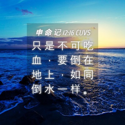 Picture 04 - 申 命 记 12:16 CUVS - 只 是 不 可 吃 血 ， 要 倒 在 地 上 - Bible Verse Picture