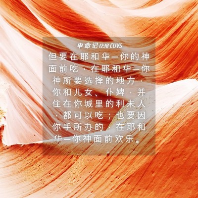 Picture 04 - 申 命 记 12:18 CUVS - 但 要 在 耶 和 华 ─ 你 的 神 面 前 - Bible Verse Picture