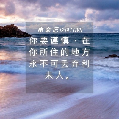 Picture 04 - 申 命 记 12:19 CUVS - 你 要 谨 慎 ， 在 你 所 住 的 地 方 - Bible Verse Picture