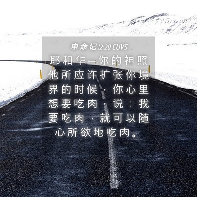 Picture 04 - 申 命 记 12:20 CUVS - 耶 和 华 ─ 你 的 神 照 他 所 应 许 - Bible Verse Picture