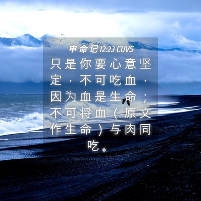 Picture 04 - 申 命 记 12:23 CUVS - 只 是 你 要 心 意 坚 定 ， 不 可 吃 - Bible Verse Picture