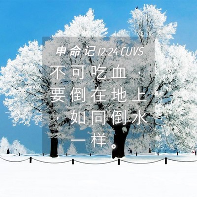 Picture 04 - 申 命 记 12:24 CUVS - 不 可 吃 血 ， 要 倒 在 地 上 ， 如 - Bible Verse Picture