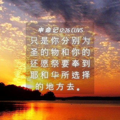 Picture 04 - 申 命 记 12:26 CUVS - 只 是 你 分 别 为 圣 的 物 和 你 的 - Bible Verse Picture