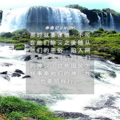 Picture 04 - 申 命 记 12:30 CUVS - 那 时 就 要 谨 慎 ， 不 可 在 他 们 - Bible Verse Picture