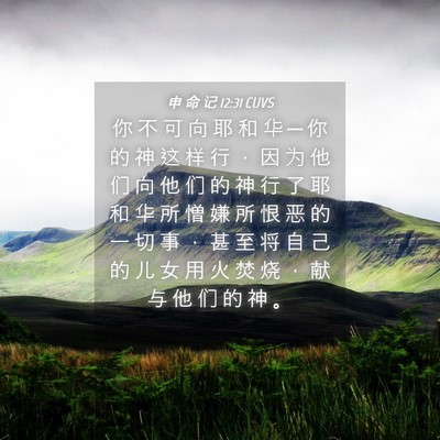 Picture 04 - 申 命 记 12:31 CUVS - 你 不 可 向 耶 和 华 ─ 你 的 神 这 - Bible Verse Picture