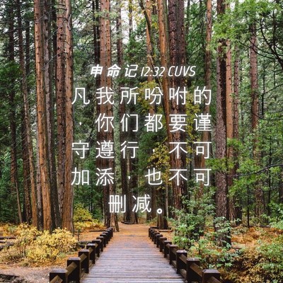Picture 04 - 申 命 记 12:32 CUVS - 凡 我 所 吩 咐 的 ， 你 们 都 要 谨 - Bible Verse Picture