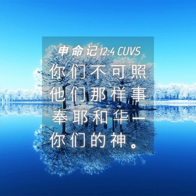 Picture 04 - 申 命 记 12:4 CUVS - 你 们 不 可 照 他 们 那 样 事 奉 耶 - Bible Verse Picture