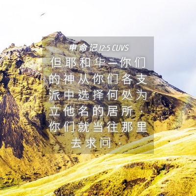 Picture 04 - 申 命 记 12:5 CUVS - 但 耶 和 华 ─ 你 们 的 神 从 你 们 - Bible Verse Picture