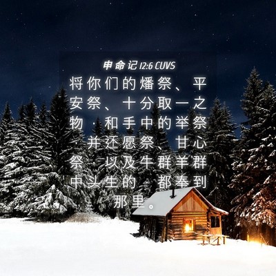 Picture 04 - 申 命 记 12:6 CUVS - 将 你 们 的 燔 祭 、 平 安 祭 、 十 - Bible Verse Picture