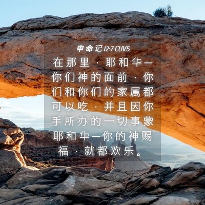 Picture 04 - 申 命 记 12:7 CUVS - 在 那 里 ， 耶 和 华 ─ 你 们 神 的 - Bible Verse Picture
