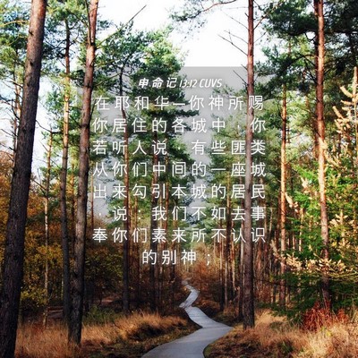 Picture 04 - 申 命 记 13:12 CUVS - 在 耶 和 华 ─ 你 神 所 赐 你 居 住 - Bible Verse Picture
