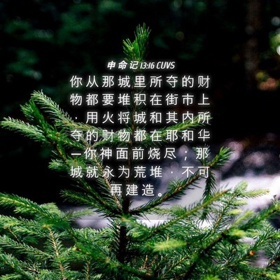 Picture 04 - 申 命 记 13:16 CUVS - 你 从 那 城 里 所 夺 的 财 物 都 要 - Bible Verse Picture