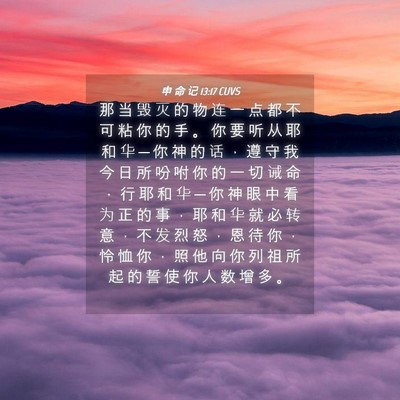 Picture 04 - 申 命 记 13:17 CUVS - 那 当 毁 灭 的 物 连 一 点 都 不 可 - Bible Verse Picture