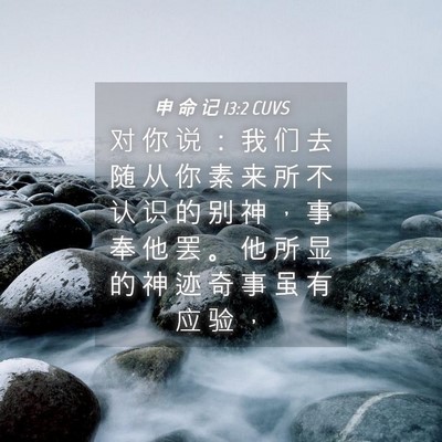 Picture 04 - 申 命 记 13:2 CUVS - 对 你 说 ： 我 们 去 随 从 你 素 来 - Bible Verse Picture