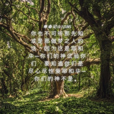 Picture 04 - 申 命 记 13:3 CUVS - 你 也 不 可 听 那 先 知 或 是 那 做 - Bible Verse Picture