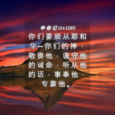 Picture 04 - 申 命 记 13:4 CUVS - 你 们 要 顺 从 耶 和 华 ─ 你 们 的 - Bible Verse Picture