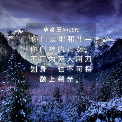 Picture 04 - 申 命 记 14:1 CUVS - 你 们 是 耶 和 华 ─ 你 们 神 的 儿 - Bible Verse Picture