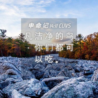 Picture 04 - 申 命 记 14:11 CUVS - 凡 洁 净 的 鸟 ， 你 们 都 可 以 吃 - Bible Verse Picture