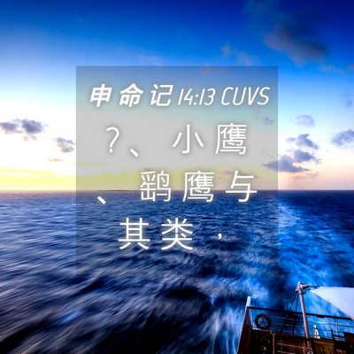 Picture 04 - 申 命 记 14:13 CUVS - ? 、 小 鹰 、 鹞 鹰 与 其 类 - Bible Verse Picture