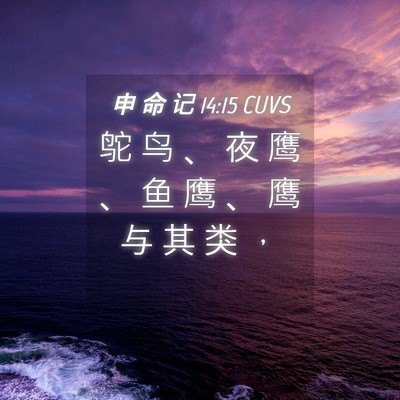 Picture 04 - 申 命 记 14:15 CUVS - 鸵 鸟 、 夜 鹰 、 鱼 鹰 、 鹰 与 其 - Bible Verse Picture
