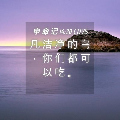 Picture 04 - 申 命 记 14:20 CUVS - 凡 洁 净 的 鸟 ， 你 们 都 可 以 吃 - Bible Verse Picture