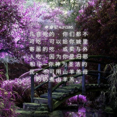 Picture 04 - 申 命 记 14:21 CUVS - 凡 自 死 的 ， 你 们 都 不 可 吃 ， - Bible Verse Picture