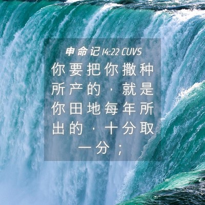 Picture 04 - 申 命 记 14:22 CUVS - 你 要 把 你 撒 种 所 产 的 ， 就 是 - Bible Verse Picture