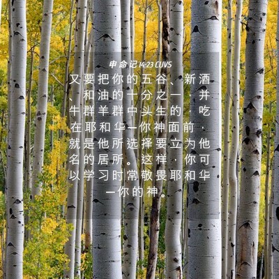 Picture 04 - 申 命 记 14:23 CUVS - 又 要 把 你 的 五 谷 、 新 酒 、 和 - Bible Verse Picture