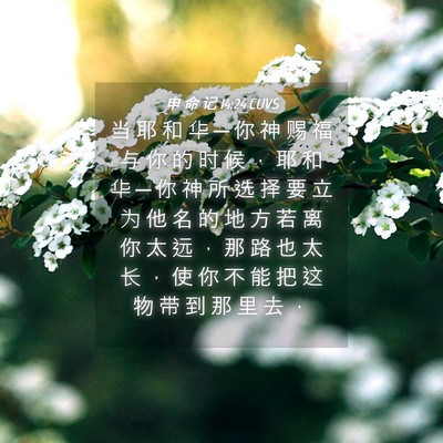 Picture 04 - 申 命 记 14:24 CUVS - 当 耶 和 华 ─ 你 神 赐 福 与 你 的 - Bible Verse Picture
