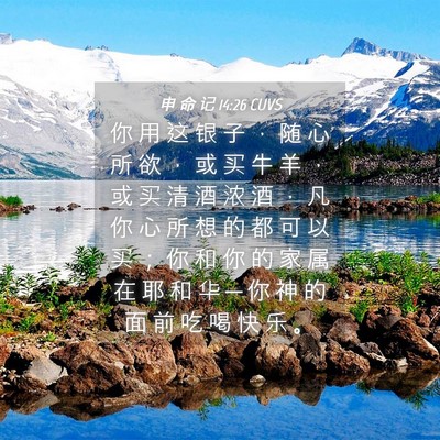 Picture 04 - 申 命 记 14:26 CUVS - 你 用 这 银 子 ， 随 心 所 欲 ， 或 - Bible Verse Picture