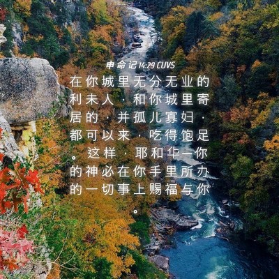 Picture 04 - 申 命 记 14:29 CUVS - 在 你 城 里 无 分 无 业 的 利 未 人 - Bible Verse Picture