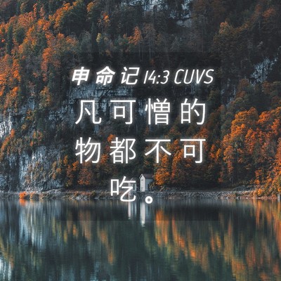 Picture 04 - 申 命 记 14:3 CUVS - 凡 可 憎 的 物 都 不 可 吃 - Bible Verse Picture