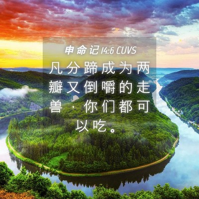 Picture 04 - 申 命 记 14:6 CUVS - 凡 分 蹄 成 为 两 瓣 又 倒 嚼 的 走 - Bible Verse Picture