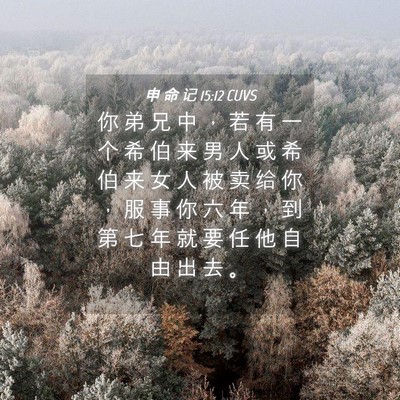 Picture 04 - 申 命 记 15:12 CUVS - 你 弟 兄 中 ， 若 有 一 个 希 伯 来 - Bible Verse Picture