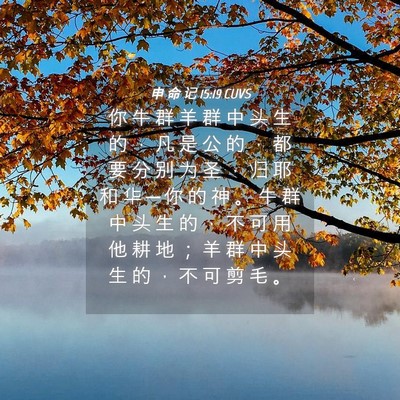 Picture 04 - 申 命 记 15:19 CUVS - 你 牛 群 羊 群 中 头 生 的 ， 凡 是 - Bible Verse Picture