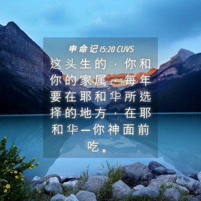 Picture 04 - 申 命 记 15:20 CUVS - 这 头 生 的 ， 你 和 你 的 家 属 ， - Bible Verse Picture