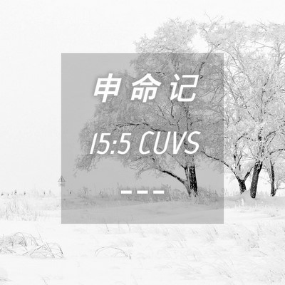 Picture 04 - 申 命 记 15:5 CUVS -  - Bible Verse Picture