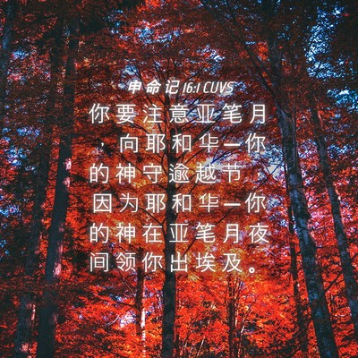 Picture 04 - 申 命 记 16:1 CUVS - 你 要 注 意 亚 笔 月 ， 向 耶 和 华 - Bible Verse Picture