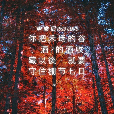 Picture 04 - 申 命 记 16:13 CUVS - 你 把 禾 场 的 谷 、 酒 ? 的 酒 收 藏 - Bible Verse Picture