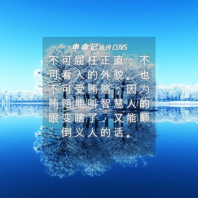 Picture 04 - 申 命 记 16:19 CUVS - 不 可 屈 枉 正 直 ； 不 可 看 人 的 - Bible Verse Picture