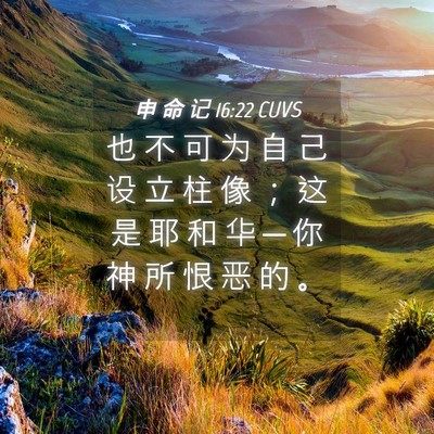 Picture 04 - 申 命 记 16:22 CUVS - 也 不 可 为 自 己 设 立 柱 像 ； 这 - Bible Verse Picture